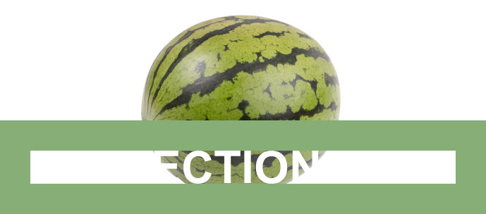 Fresh Watermelon(Approx. 5kg)-1x1