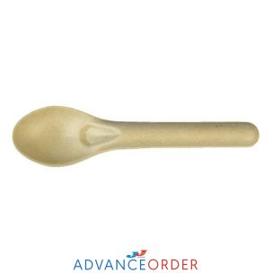 Bagasse Spoon 1x500