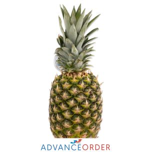 Pineapple (6-8 Pcs) Case