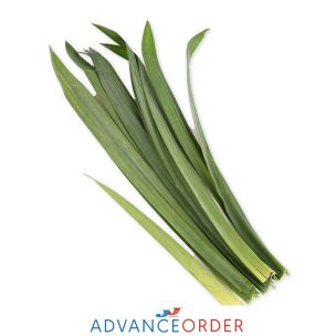 Pandan Leaf (Uk) (Single) 1x200g