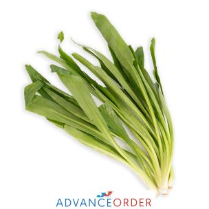 Thai Parsley (Stinking)-1x100g