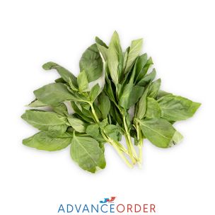 Thai Sweet Basil 1x100g