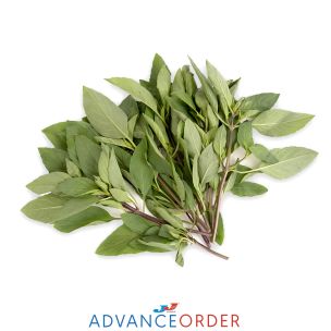 Holy Basil 1x100g