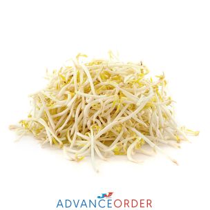 Fresh Bean Sprouts 1x4kg