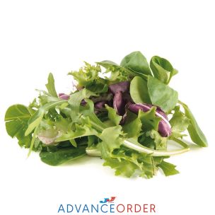 Fresh Sandwich Mixed Leaves-2x500g