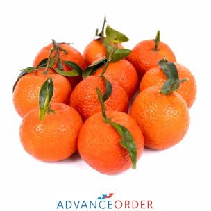 Fresh Clementines- 1x10