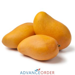 Yellow Mango-1x(5-6)
