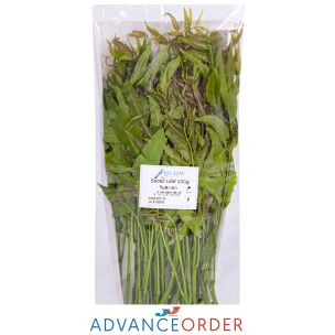 Dok Sa Dao (Sadao Flower)-1x100g