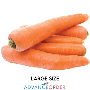 Large Carrots-1x10kg