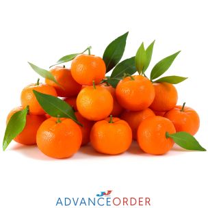 Fresh Clementines-1x10kg