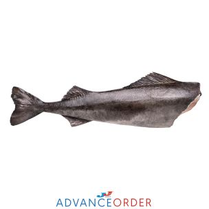 Black Cod Headless & Gutted 5-7lbs (Nominal) 1x22.68kg