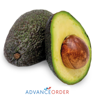 Fresh Avocados-1x6