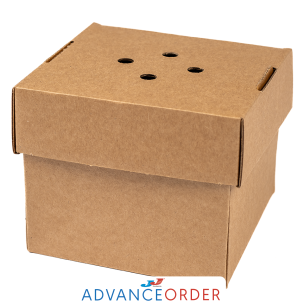 Small Gourmet Burger Box 122x102x122mm 1x100