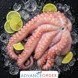 Portuguese IQF Octopus Clean Whole Size 3-4kg 1x14kg
