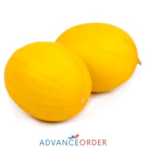 Yellow Honeydew Melons 1x2