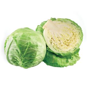 White Cabbage-1x20kg