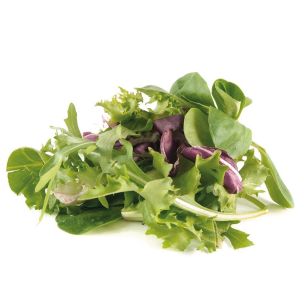 Fresh Sandwich Mixed Leaves-2x500g