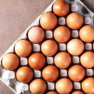 Medium Free Range Eggs-1x360