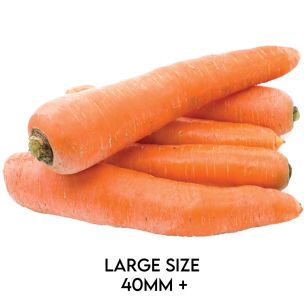 Large Carrots-1x10kg