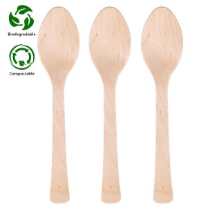 Wooden Spoon-10x100