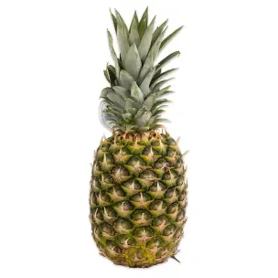 Pineapple (Approx. 1kg) - 1x1