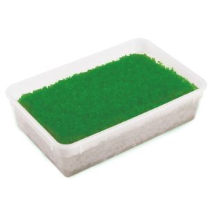 Tobiko Green 1x500g