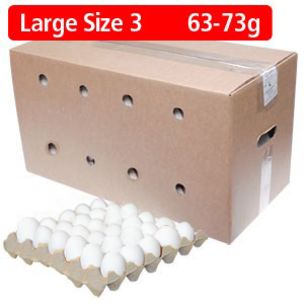 Large White Eggs-1x360