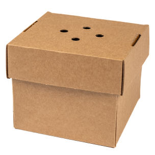 Small Gourmet Burger Box 122x102x122mm 1x100
