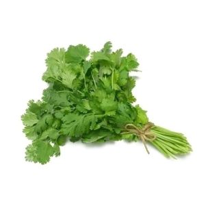 Fresh Coriander-1x20 Bunches