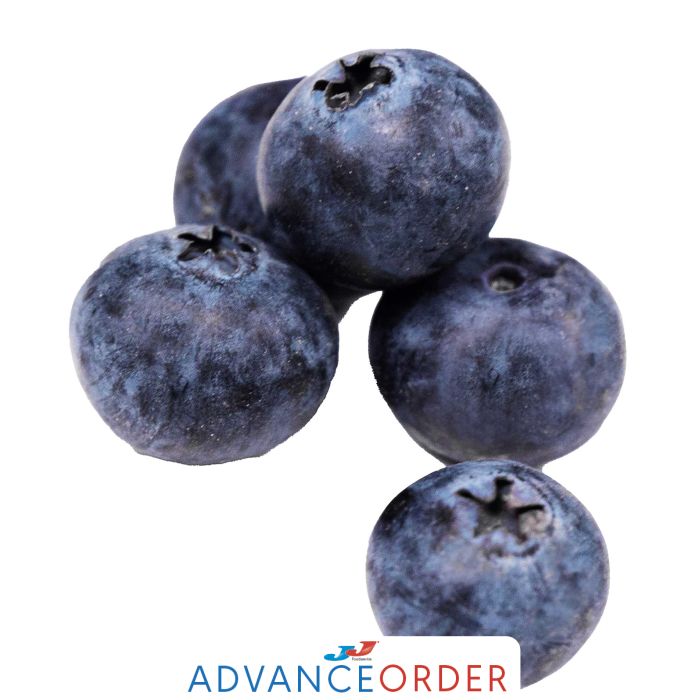Fresh Blueberries-6x125g