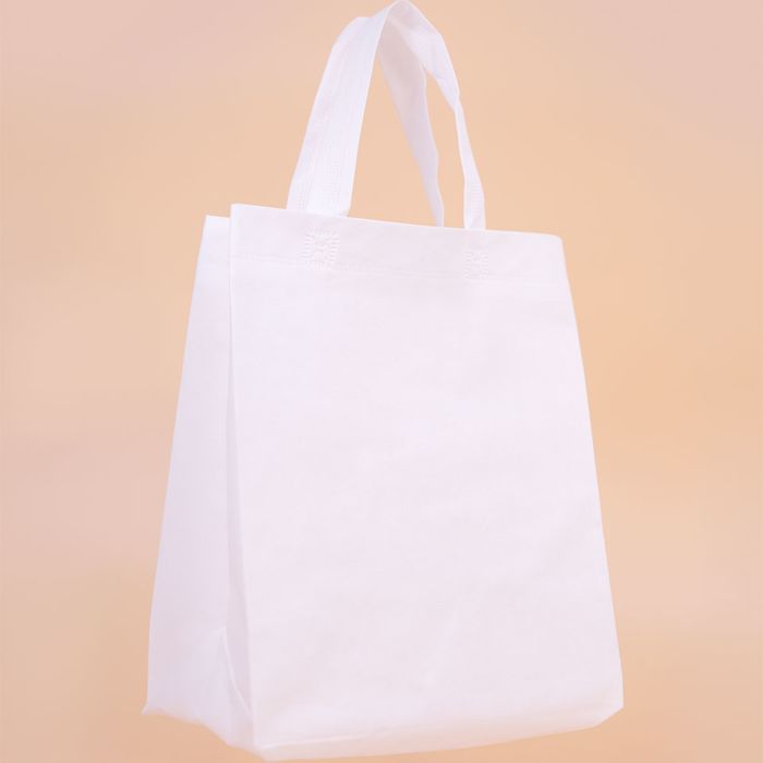 Large Reusable Shopper Bags (Non-Woven) 1x100
